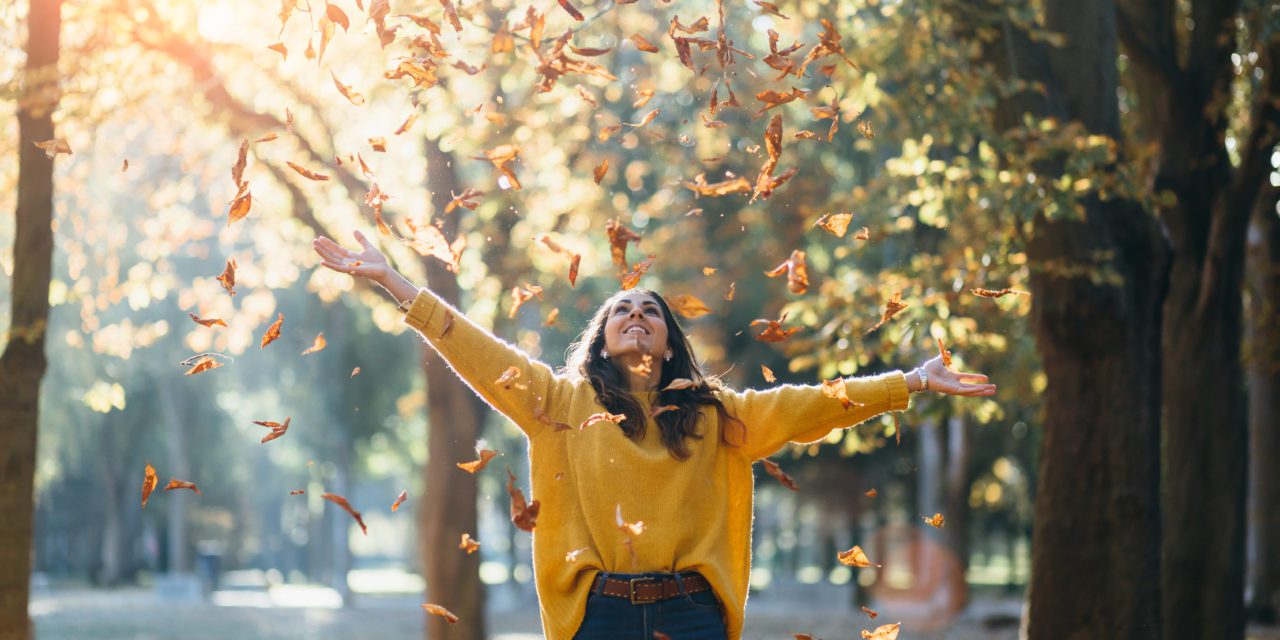 https://handy-loaf.flywheelsites.com/wp-content/uploads/2020/09/fallweather-1280x640.jpeg
