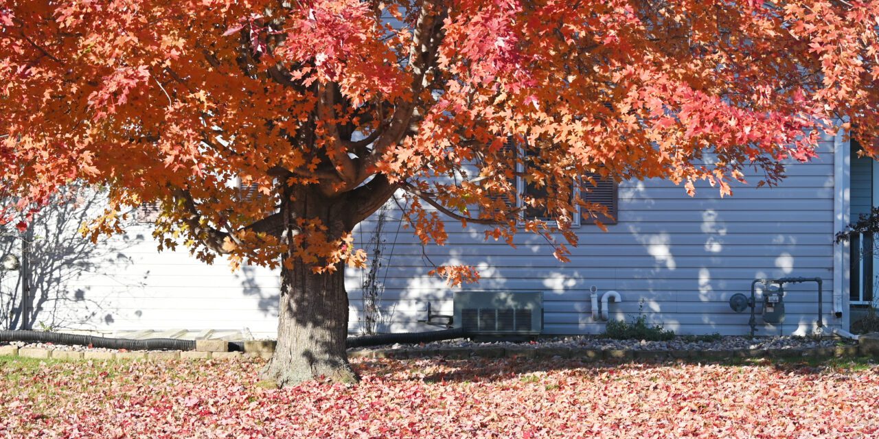 https://handy-loaf.flywheelsites.com/wp-content/uploads/2022/09/Fall-HVAC-1-1280x640.jpeg